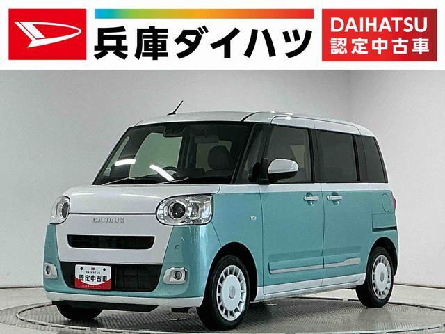ムーヴキャンバス  ストライプス G