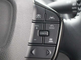 レーダークルーズコントロール作動時に車線維持に必要な運転操作の支援を行う「レーントレーシングアシスト(LTA)」を搭載しています。