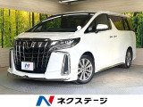 両側電動ドア 後席モニター バックカメラ 衝突被害軽減システム