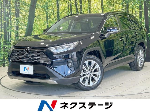RAV4 2.0 G Zパッケージ 4WD