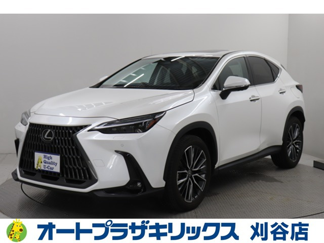 NX 250 バージョンL NX 250 バージョンL