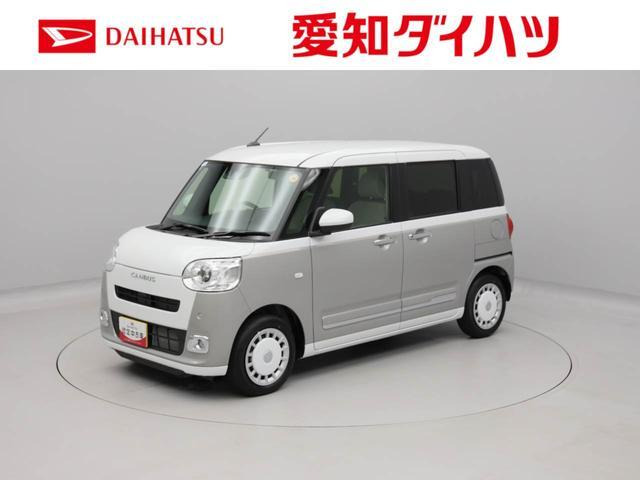ムーヴキャンバス  ストライプス G