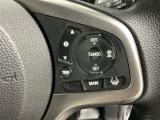 アクセルから足を離しても設定したスピードを保ち走行し、高速道路での疲労軽減に役立つクルーズコントロール付きです!