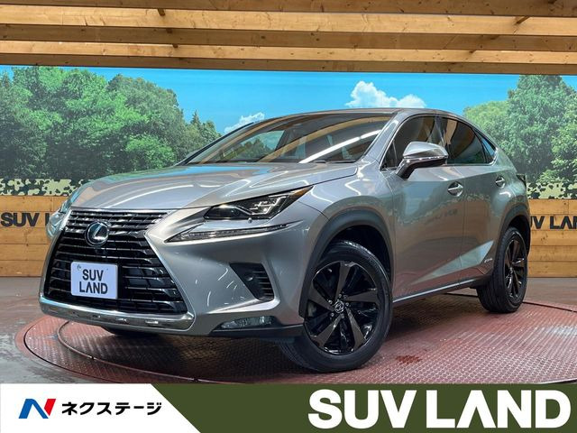 NX 300h バージョンL 