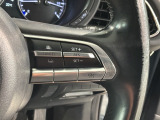 クルーズコントロールを装備しています。高速道路などで一定の速度で走ってくれるので運転が楽ですよ!速度を設定できますので、スピードの出しすぎにも注意できます。