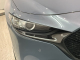 LEDヘッドライトは、点灯の瞬間から最大光量を発揮し、突然暗くなるトンネルなどでの安定感を高めます。