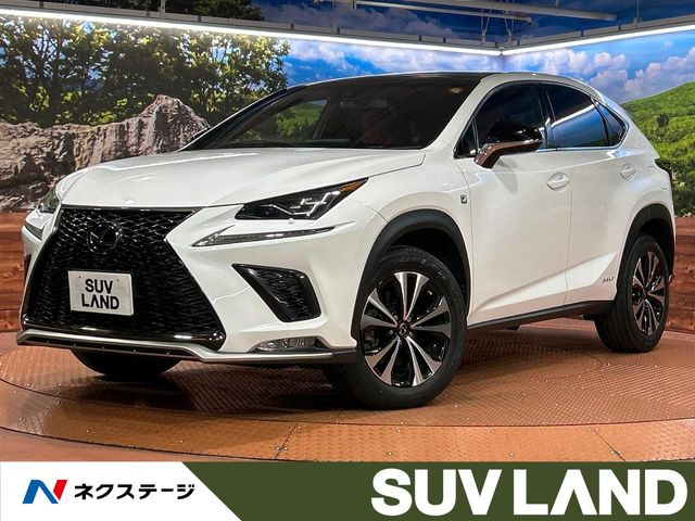 NX 300h Fスポーツ 