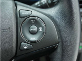 ◆アダプティブクルーズコントロール◆予め設定した車速内でクルマが自動的に加減速。前走車との適切な車間距離を維持しながら追従走行します。【LKAS】車線維持支援システムでステアリング操作を支援。