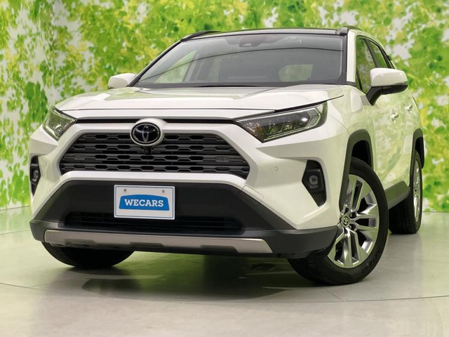 RAV4 2.0 G Zパッケージ 4WD