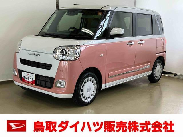 ムーヴキャンバス ストライプス G
