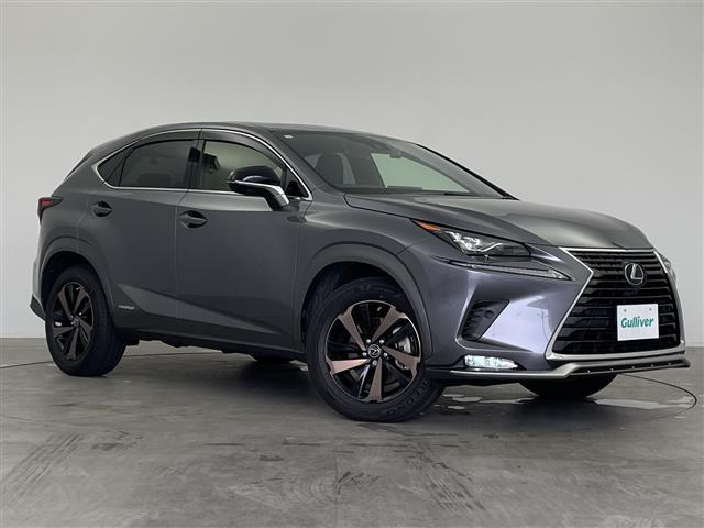 NX 300h スパイス&シック 本革シート サンルーフ