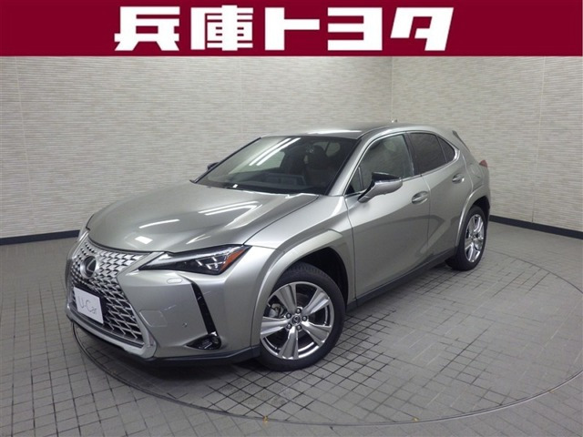 UX 250h グレイスフル エクスプローラー