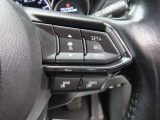 前車追従機能付きのレーダークルーズを備えています。自動で車間距離を調整してくれますので、アクセル操作の疲労軽減に繋がります。特に長距離を帰省される方にはお奨めですよ。