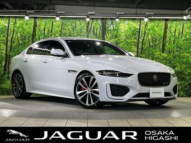 XE Rダイナミック S 2.0L P250