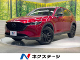 10型ナビ 全周囲カメラ 衝突被害軽減システム レーダークルーズ 禁煙車