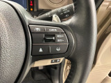 クルーズコントロールを装備しています。高速道路などで一定の速度で走ってくれるので運転が楽ですよ!速度を設定できますので、スピードの出しすぎにも注意できます。