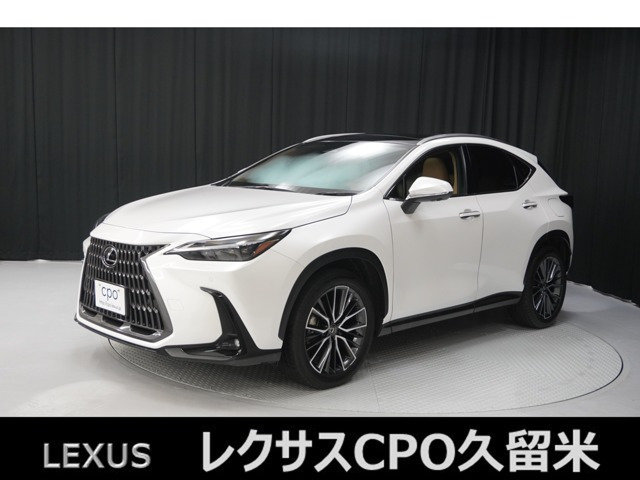 NX 250 バージョンL NX 250 バージョンL