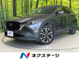 衝突被害軽減システム レーダークルーズ 禁煙車 電動リアゲート