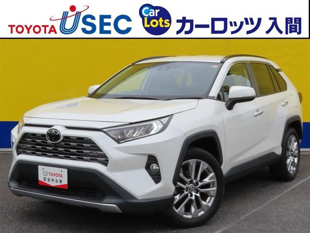 RAV4 2.0 G Zパッケージ 4WD