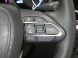 【レーダークルーズコントロール】(全車速追従機能付)付きです。車速に応じて追従支援してくれるので、ロングドライブも快適です。詳細は販売店スタッフまでおたずねください。
