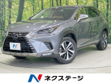 10型ナビ 全周囲カメラ 衝突軽減 BSM ステアリングヒーター