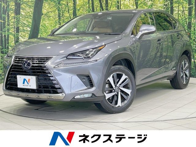 NX 300h バージョンL