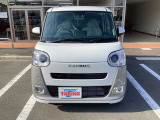ムーヴキャンバス  ストライプス G