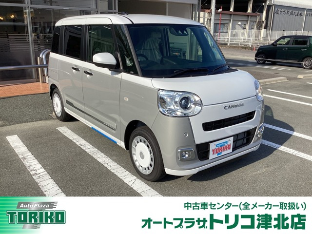 ムーヴキャンバス  ストライプス G