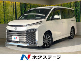 両側電動ドア 純正10型ナビ 後席モニター 全周囲カメラ