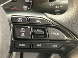 レーダークルーズコントロール付きで高速道路も楽々です。