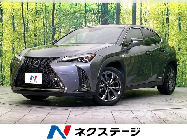 UX 250h Fスポーツ