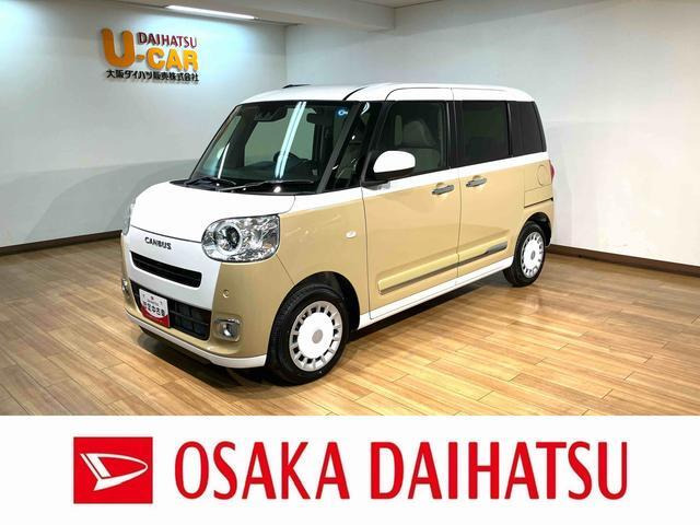 ムーヴキャンバス  ストライプス G