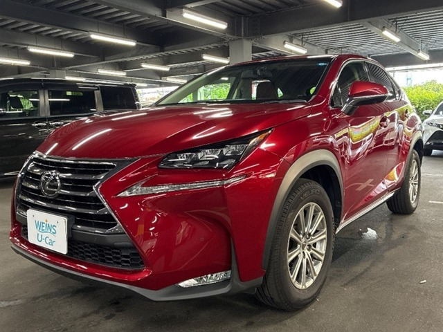 NX 200t Iパッケージ 