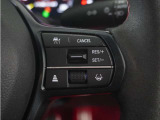 ◆アダプティブクルーズコントロール◆予め設定した車速内でクルマが自動的に加減速。前走車との適切な車間距離を維持しながら追従走行します。【LKAS】車線維持支援システムでステアリング操作を支援。