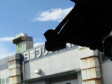 一瞬の時を画像で納めます。後で確認できますので安心です。