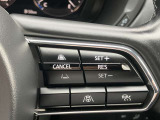 プロパイロット装備。高速道路航行時での巡行や前方の車との車間保持、減速から停止、発進、加速まで自動でアシストする機能です。