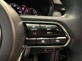 ステアリングスイッチで、先行車に自動追従するアダプティブクルーズコントロールが作動可能。設定した車速内での車間距離を自動で調整・維持。高速道路の渋滞時もアクセル・ブレーキ操作から解放されます。