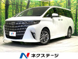 禁煙車 ガラスルーフ 両側電動ドア メーカー14型ナビ 全周囲カメラ