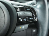 ◆アダプティブクルーズコントロール◆予め設定した車速内でクルマが自動的に加減速。前走車との適切な車間距離を維持しながら追従走行します。【LKAS】車線維持支援システムでステアリング操作を支援。