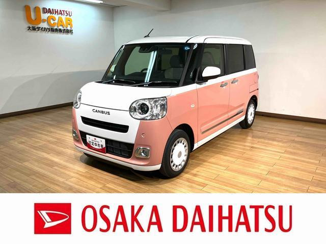 ムーヴキャンバス  ストライプス G