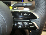 ハンドルスイッチ(右)は、運転中に手を離さず安全に操作できます。マルチファンクションディスプレイを操作します。