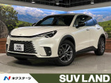メーカー9.8型ディスプレイ 全周囲カメラ 白合皮シート BSM