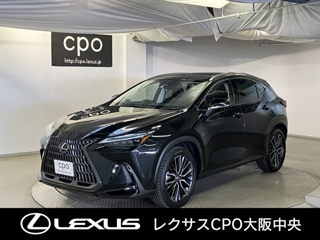 NX 250 バージョンL NX 250 バージョンL