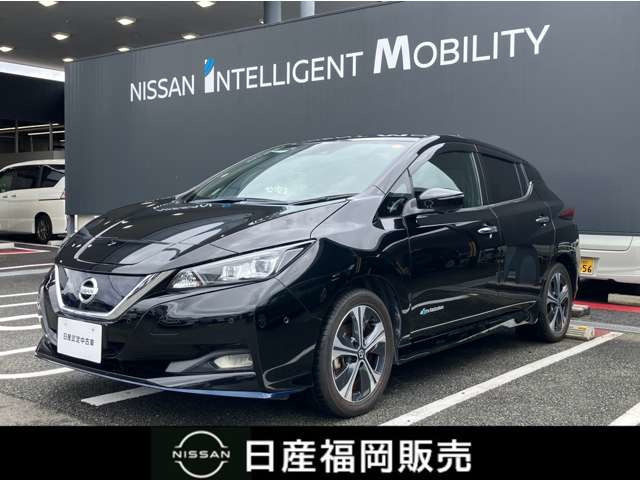 リーフ e+ G 