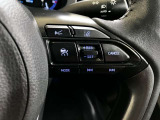 高速道路の走行が快適に。クルーズコントロールはレーダー追従式で前方の自動車との車間距離を自動で保ってくれる秀作です。レーダークルーズコントロールの車間距離は手元のスイッチで変更可能です。