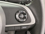 前方の車との車間を設定し、スピードを上げたり緩めたりを自動で行ってくれる追尾式の「レーダークルーズ」。上級装備の一つです!高級車にしかつかない嬉しい機能です。