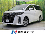 両側電動ドア 後席モニター 純正9型ナビ バックカメラ レーダークルーズ