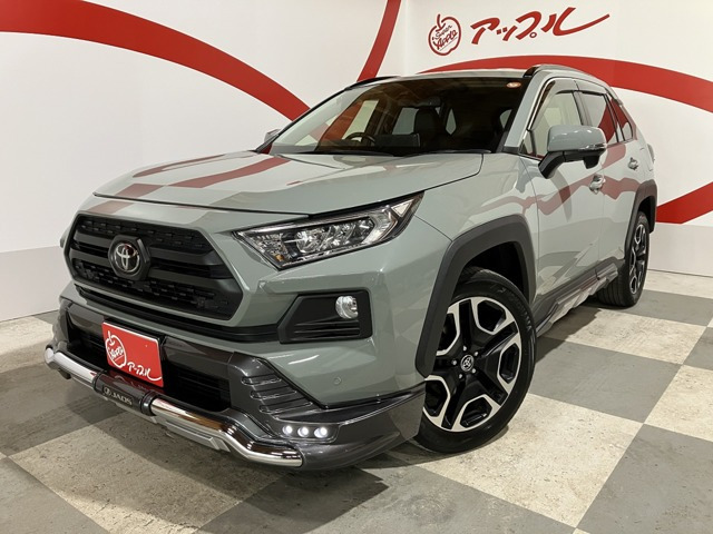 RAV4 2.0 アドベンチャー 4WD 