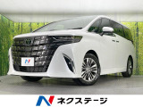 純正ナビ 両側電動ドア 全周囲カメラ 衝突被害軽減システム