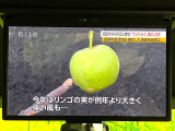 【13.2型フリップダウン】大画面モニターで後席でもエンタメをお楽しみいただけます。家族や友人とお出かけする機会が多い方に大人気です♪